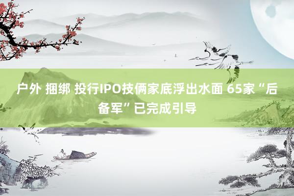 户外 捆绑 投行IPO技俩家底浮出水面 65家“后备军”已完成引导