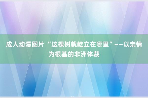 成人动漫图片 “这棵树就屹立在哪里”——以亲情为根基的非洲体裁