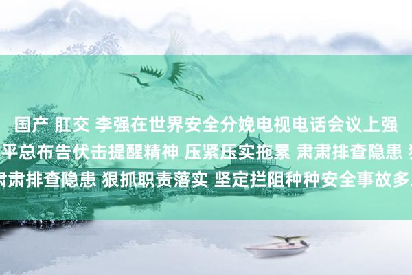 国产 肛交 李强在世界安全分娩电视电话会议上强调：深入贯彻落实习近平总布告伏击提醒精神 压紧压实拖累 肃肃排查隐患 狠抓职责落实 坚定拦阻种种安全事故多发连发势头