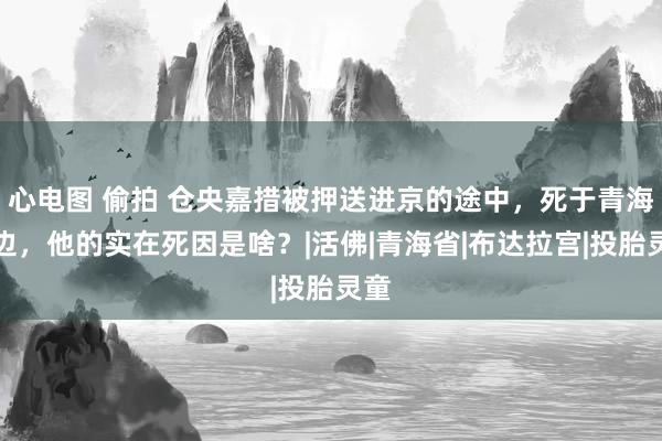 心电图 偷拍 仓央嘉措被押送进京的途中，死于青海湖边，他的实在死因是啥？|活佛|青海省|布达拉宫|投胎灵童