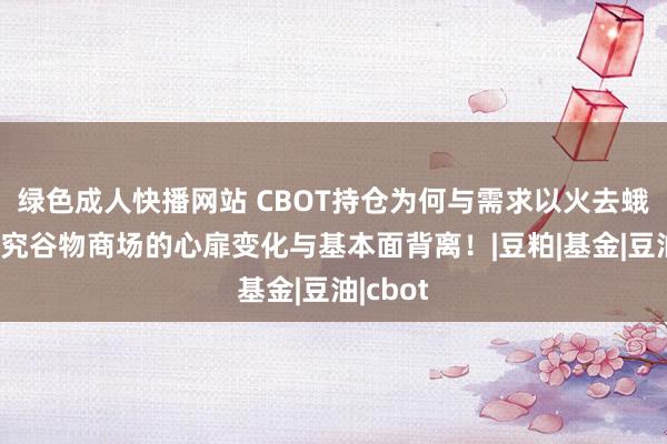 绿色成人快播网站 CBOT持仓为何与需求以火去蛾中？探究谷物商场的心扉变化与基本面背离！|豆粕|基金|豆油|cbot